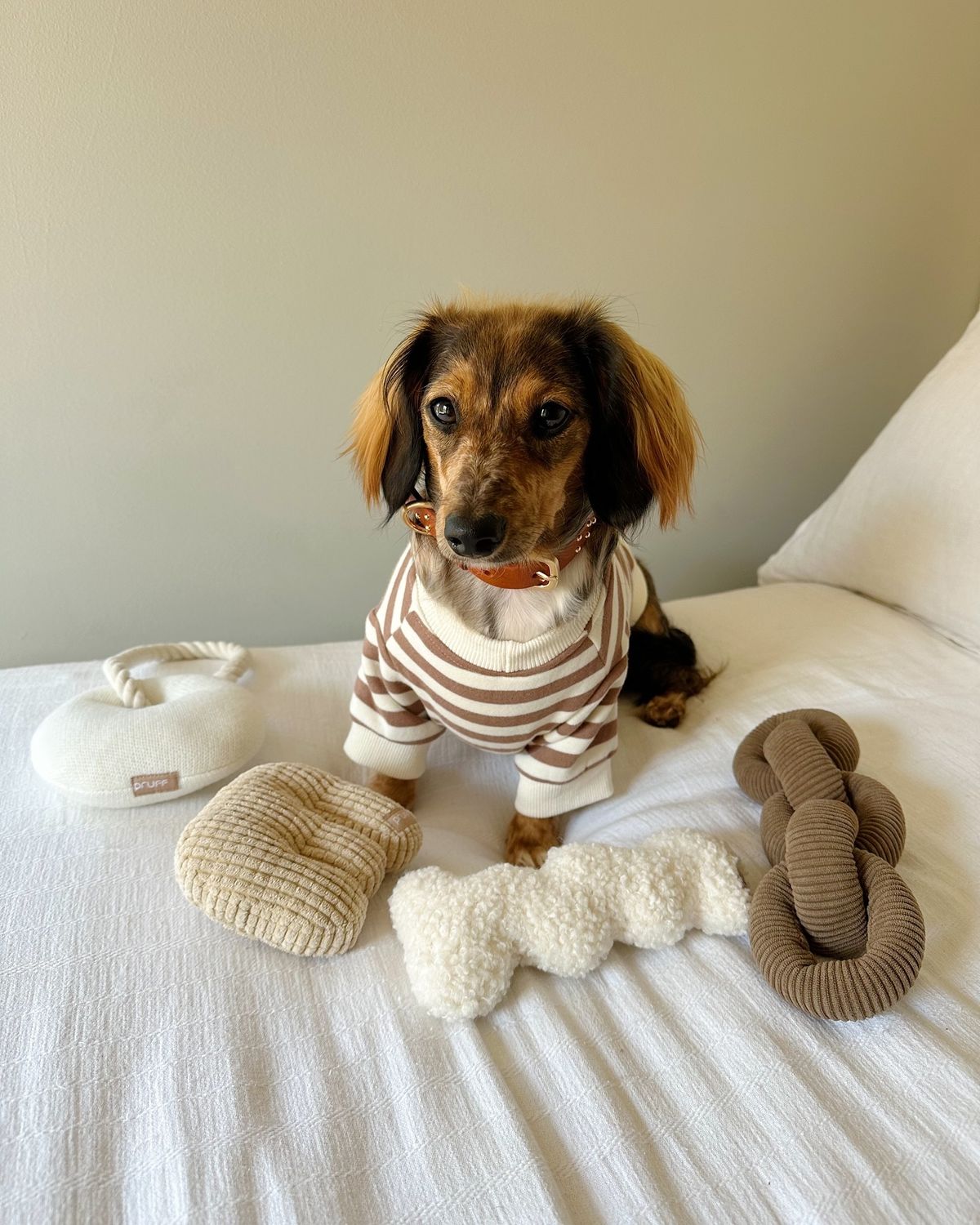Thoughtful pet essentials